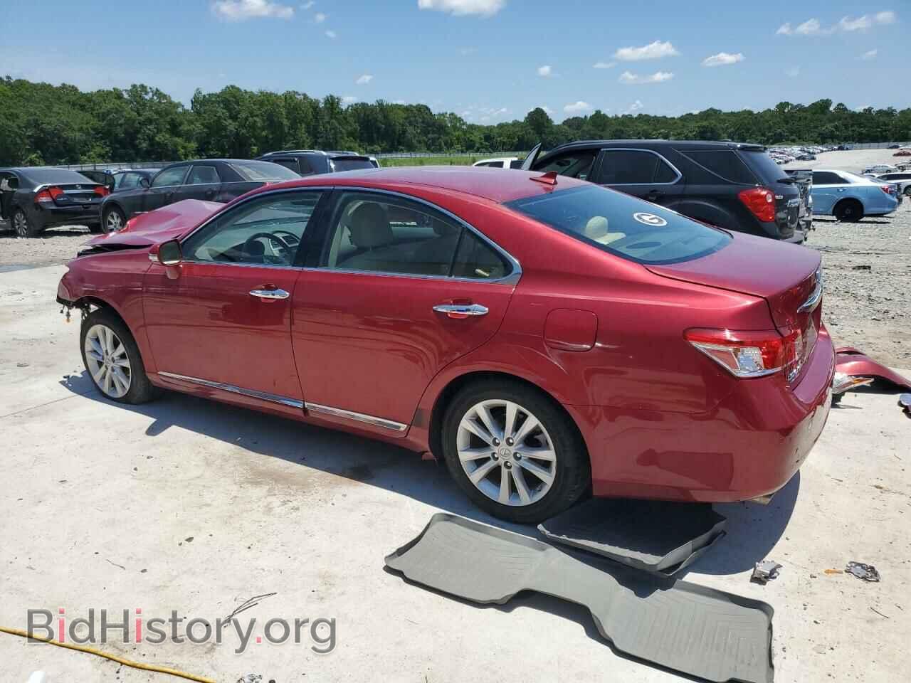 2010 LEXUS ES350 - VIN: JTHBK1EG6A2372509 - Фото 2