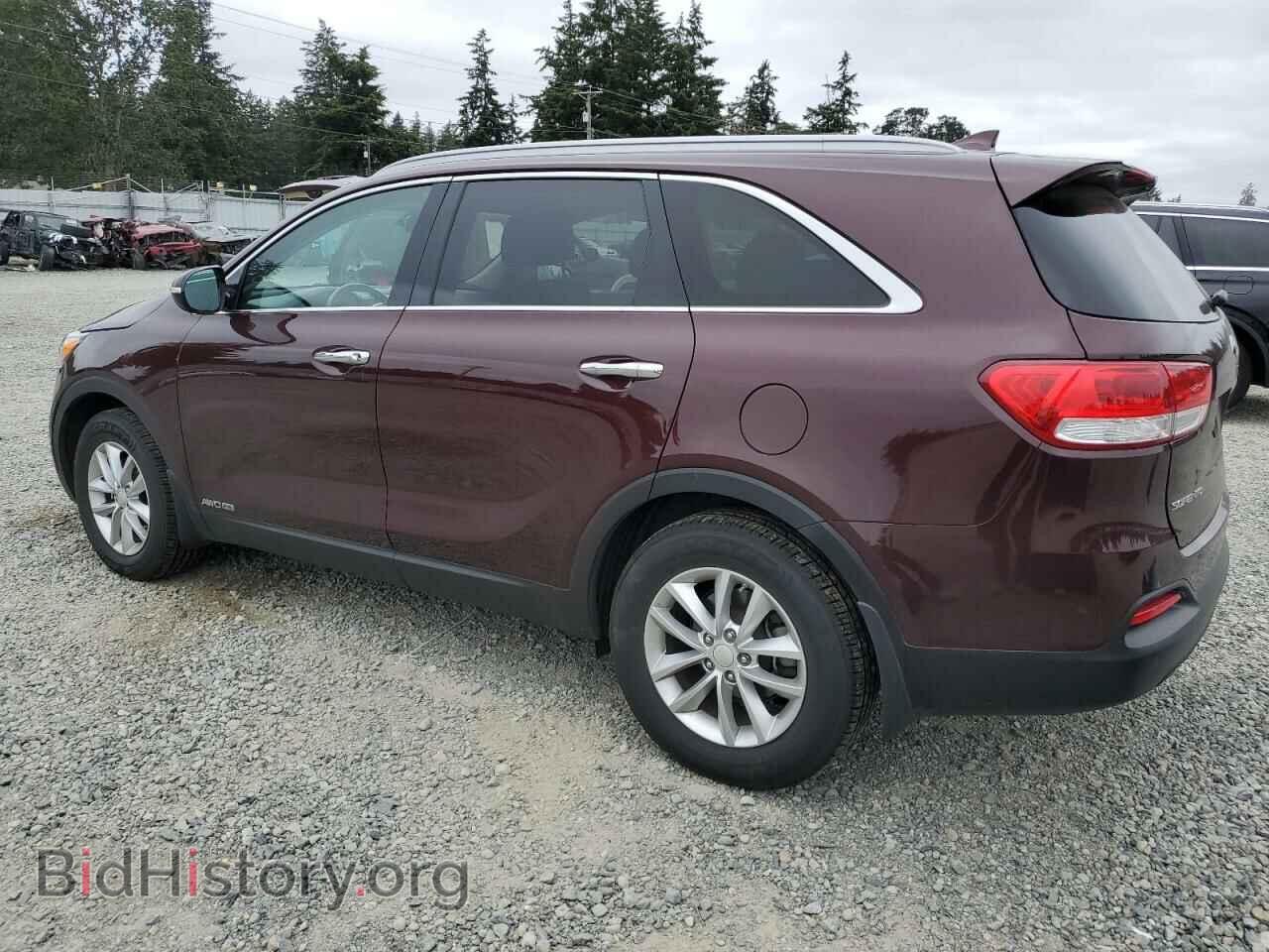 2017 KIA SORENTO - VIN: 5XYPGDA54HG199247 - Фото 2