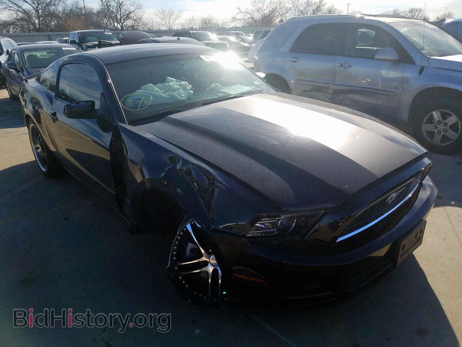 Photo 1ZVBP8AM1E5259057 - FORD MUSTANG 2014