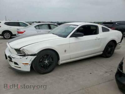 2013 Ford ALL MODELS, белый — VIN 1ZVBP8AM9D5241081, Copart