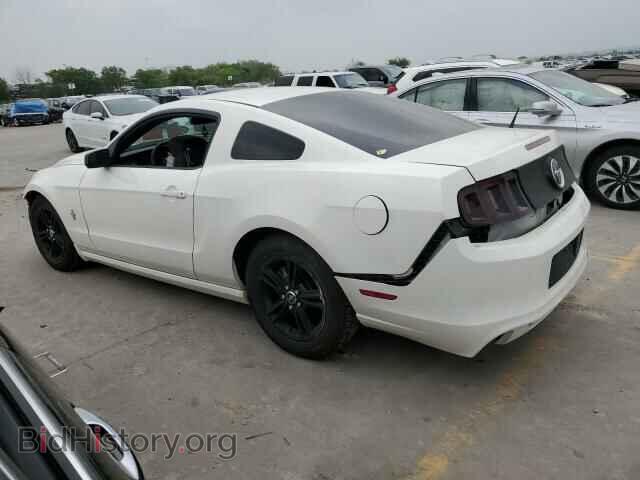2013 FORD ALL Models - VIN: 1ZVBP8AM9D5241081 - Фото 2