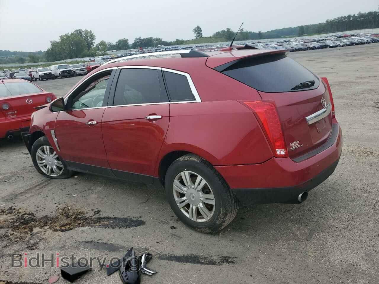 2011 CADILLAC SRX - VIN: 3GYFNDEY4BS617344 - Фото 2