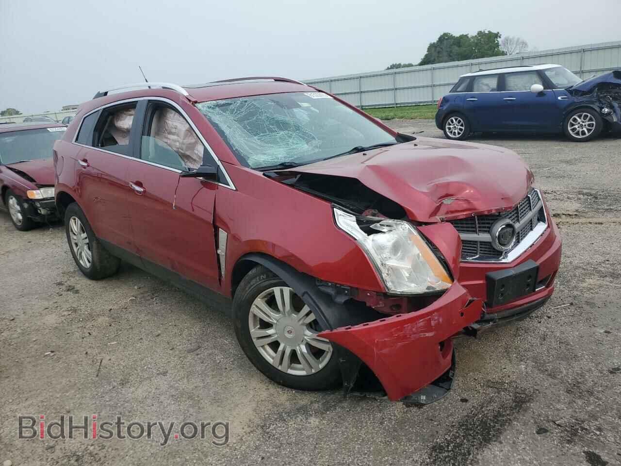 2011 CADILLAC SRX - VIN: 3GYFNDEY4BS617344 - Фото 4