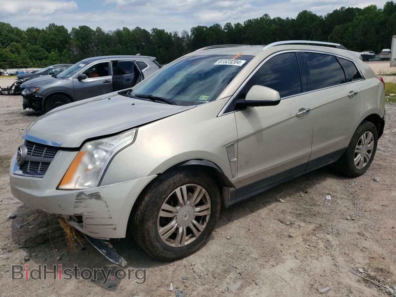 Photo 3GYFNAEY5AS564618 - CADILLAC SRX 2010