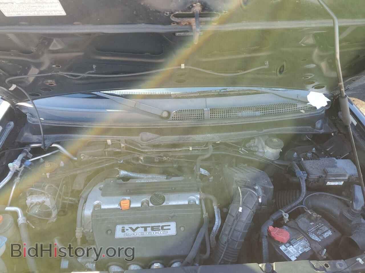 2010 HONDA ELEMENT - VIN: 5J6YH2H75AL008100 - Фото 7