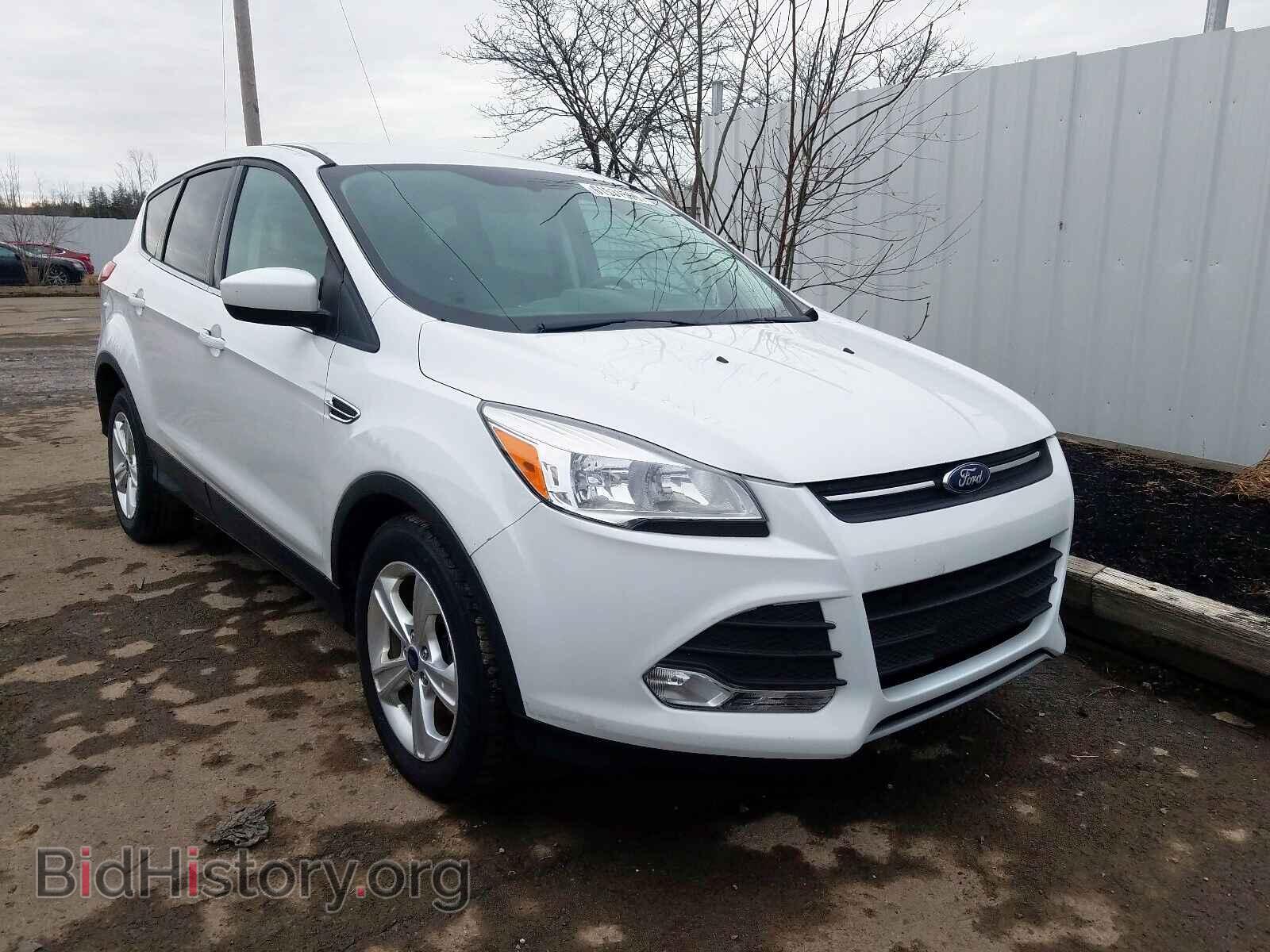 Фотография 1FMCU0G91EUE01283 - FORD ESCAPE 2014