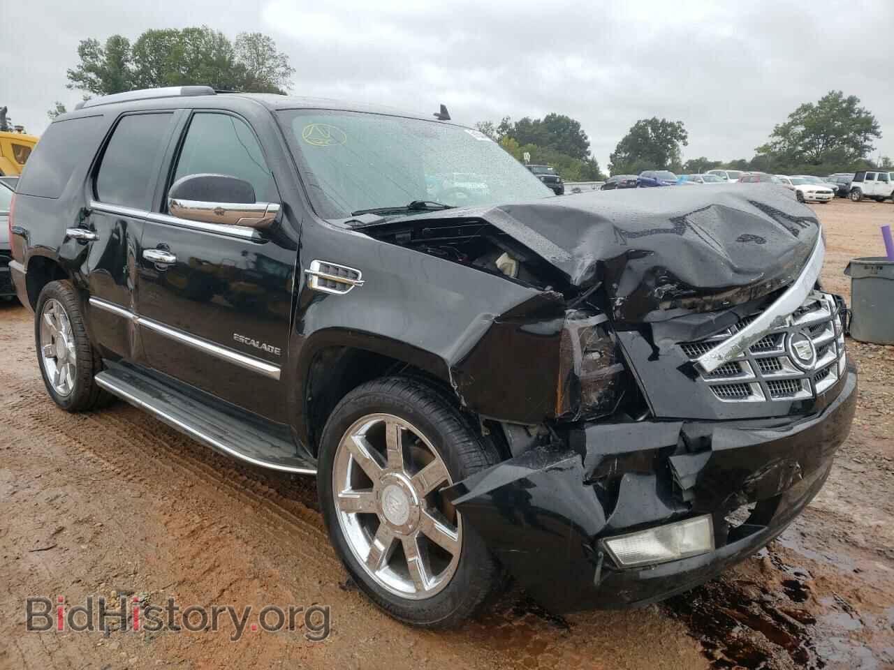 Photo 1GYUCBEF1AR152183 - CADILLAC ESCALADE 2010