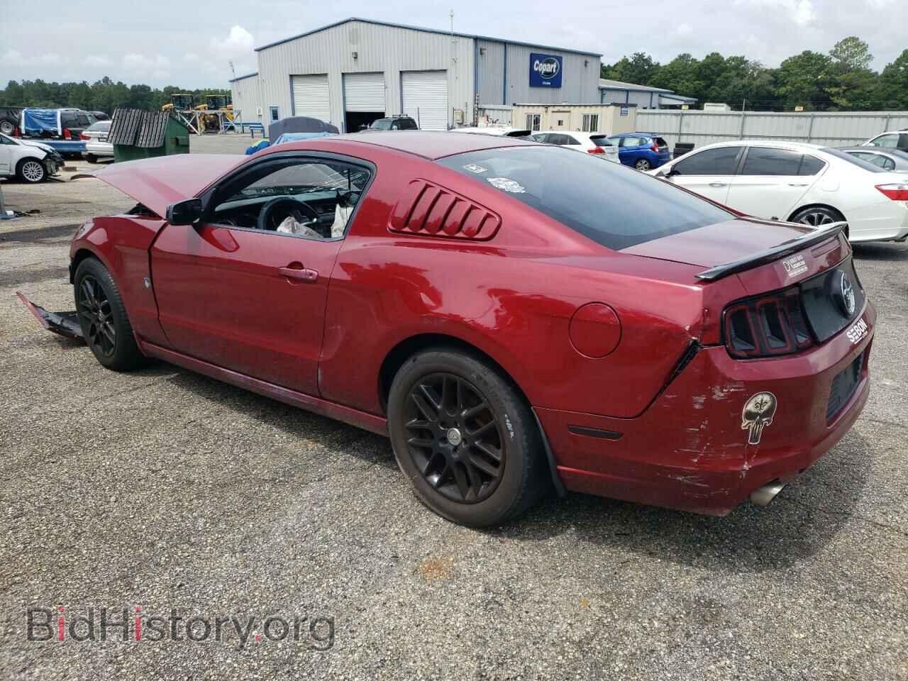 2014 FORD ALL Models - VIN: 1ZVBP8AM3E5203587 - Фото 2