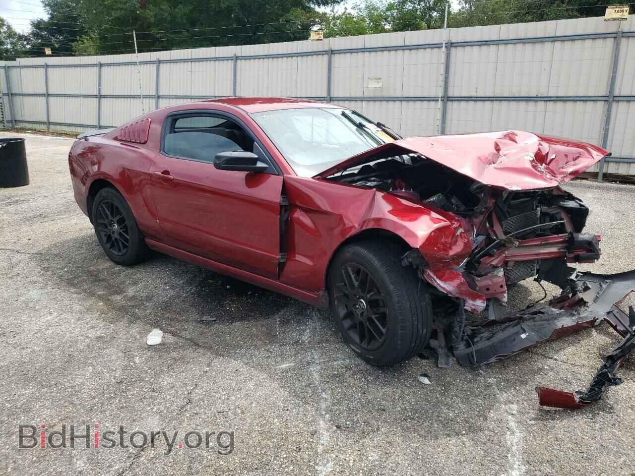 2014 FORD ALL Models - VIN: 1ZVBP8AM3E5203587 - Фото 4