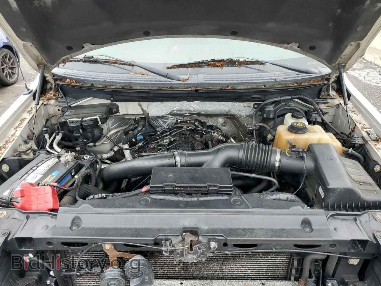2012 FORD F-150 - VIN: 1FTFX1ET0CFC00800 - Фото 11