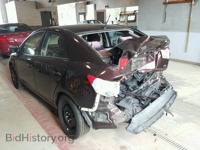 2010 KIA FORTE - VIN: KNAFU4A22A5199494 - Фото 3