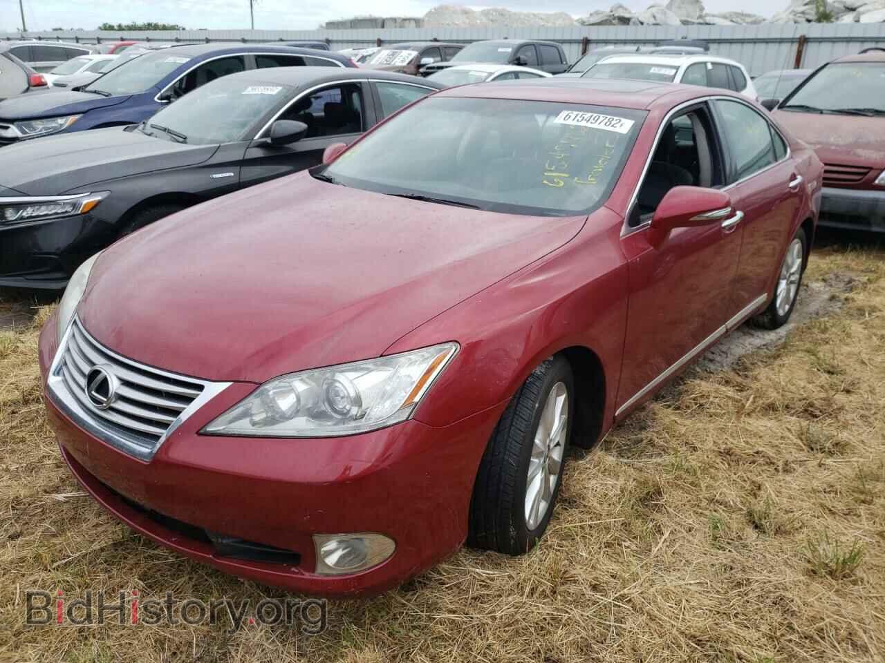 2010 LEXUS ES350 - VIN: JTHBK1EG7A2361101 - Фото 2