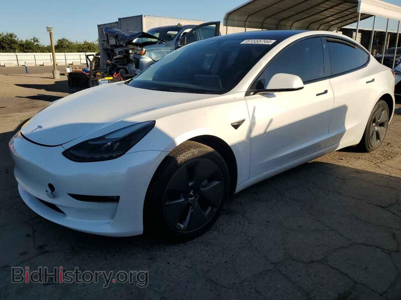 Photo 5YJ3E1EB2NF209702 - TESLA MODEL 3 2022