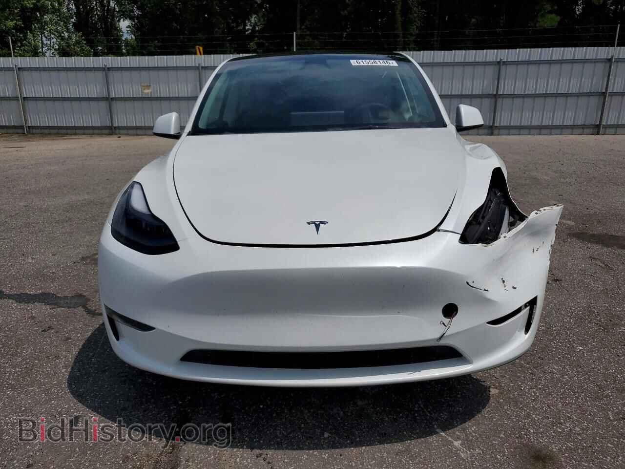 2023 TESLA MODEL Y - VIN: 7SAYGDEE6PF793782 - Фото 5