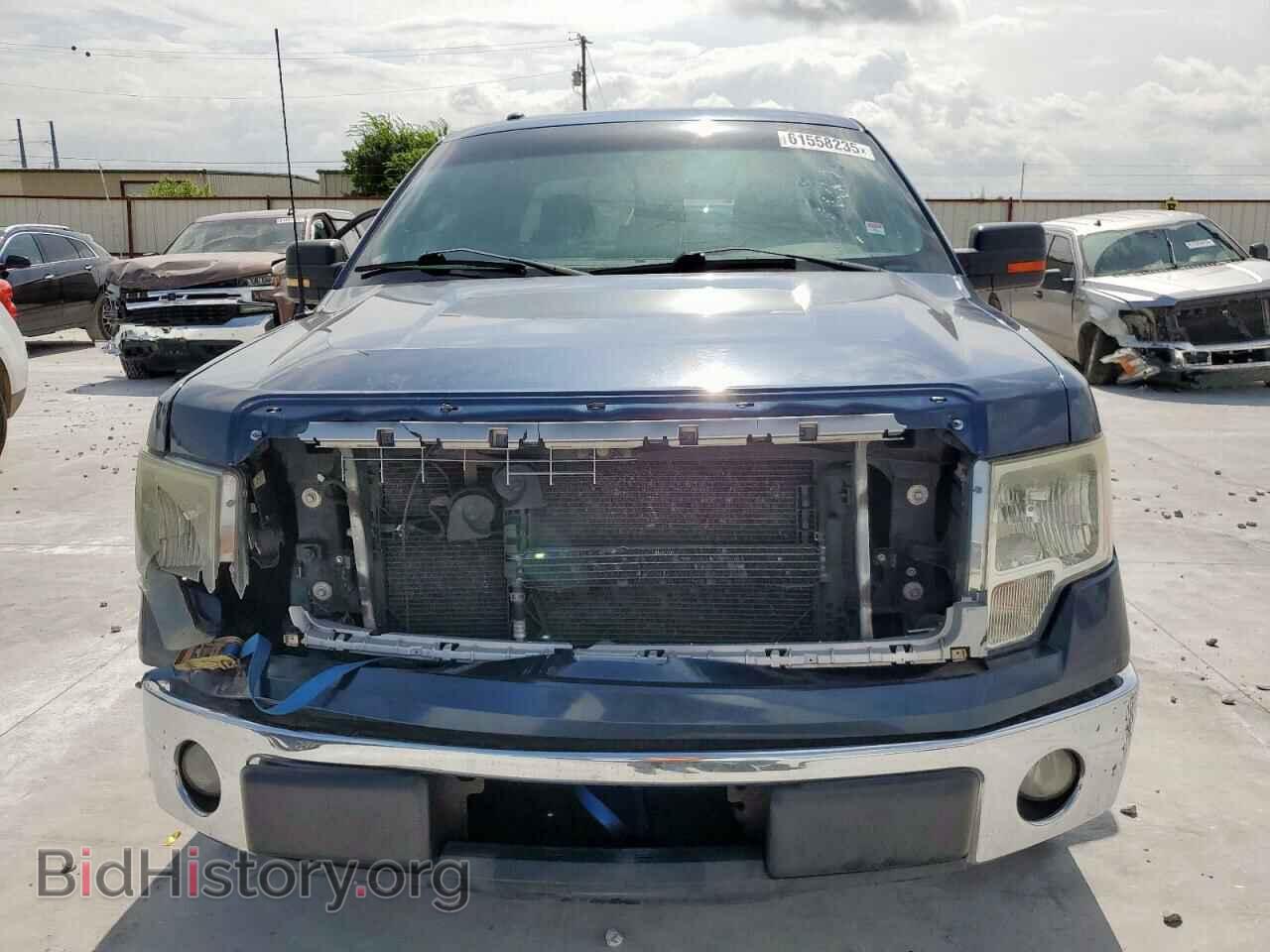 2013 FORD F-150 - VIN: 1FTFX1CF6DFB89932 - Фото 5