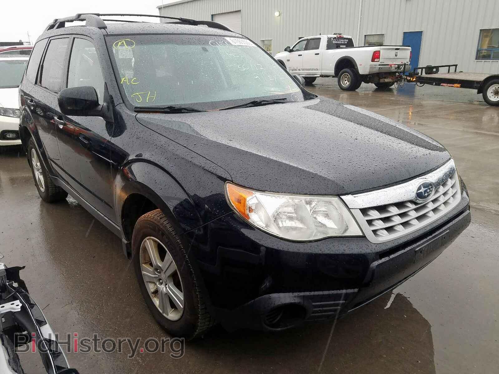 Photo JF2SHCBC0BH739675 - SUBARU FORESTER 2011