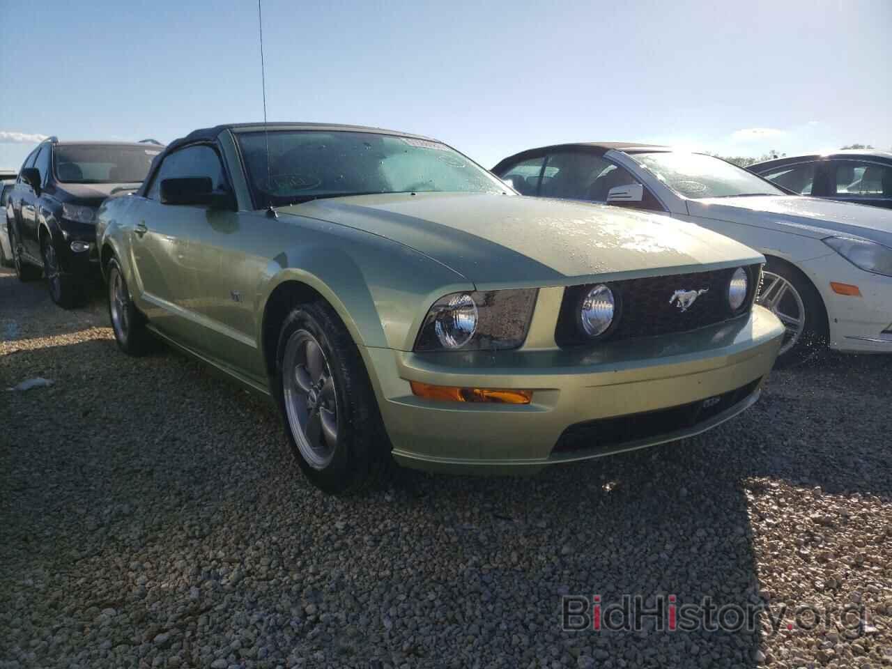 Photo 1ZVHT85H565128170 - FORD MUSTANG 2006