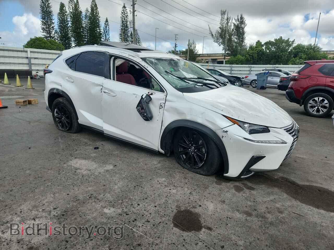2020 LEXUS NX - VIN: JTJDARBZ5L5000367 - Фото 4