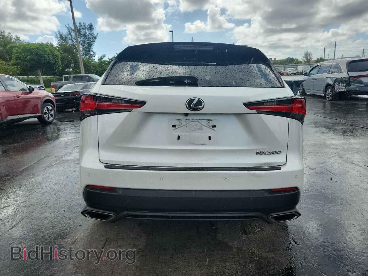 2020 LEXUS NX - VIN: JTJDARBZ5L5000367 - Фото 6