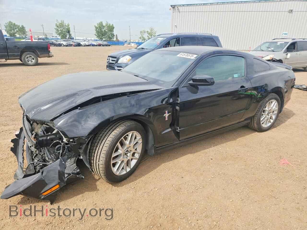 Фотография 1ZVBP8AM9D5214804 - FORD MUSTANG 2013