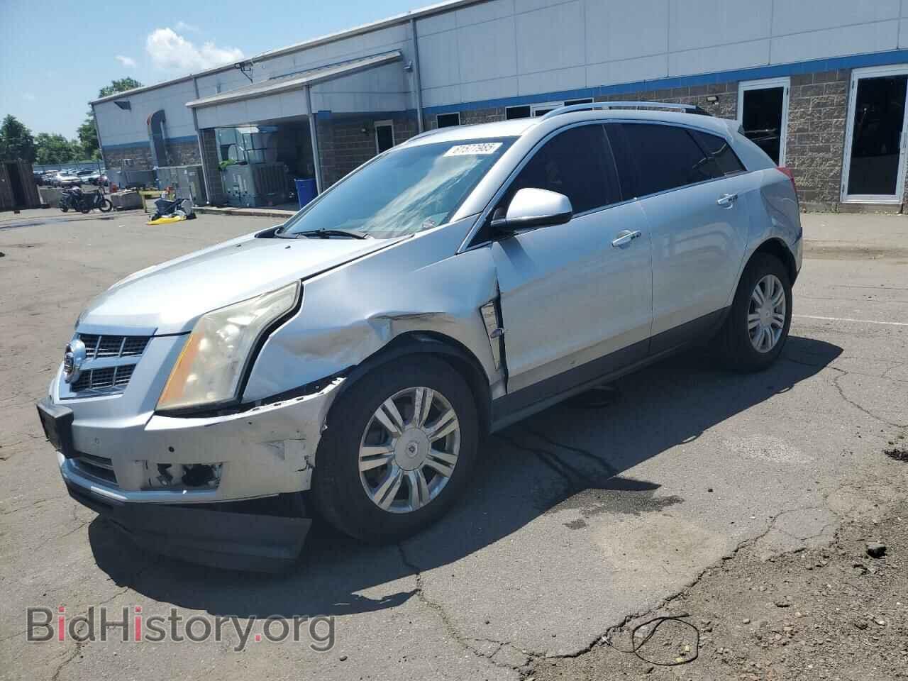Photo 3GYFNDEY7AS603159 - CADILLAC SRX 2010