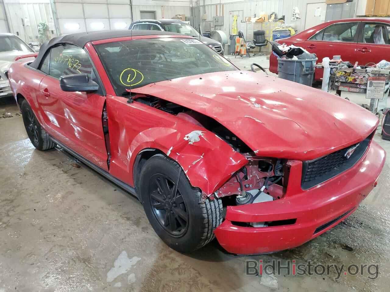 Photo 1ZVFT84N065189022 - FORD MUSTANG 2006