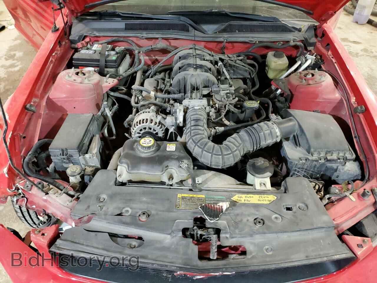2006 FORD MUSTANG - VIN: 1ZVFT84N065189022 - Фото 7