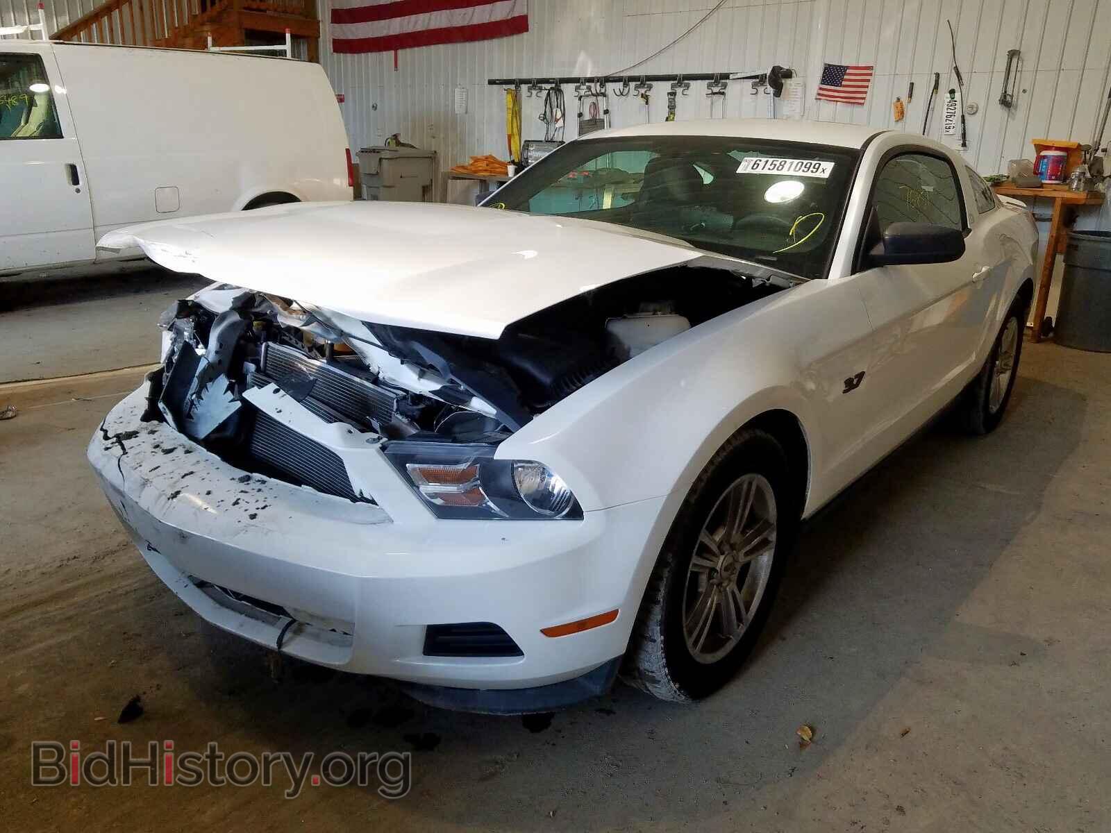 2012 FORD MUSTANG - VIN: 1ZVBP8AM8C5255407 - Фото 2