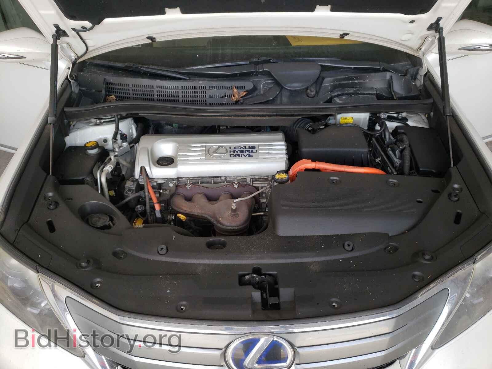 2010 LEXUS HS - VIN: JTHBB1BA3A2011254 - Фото 7