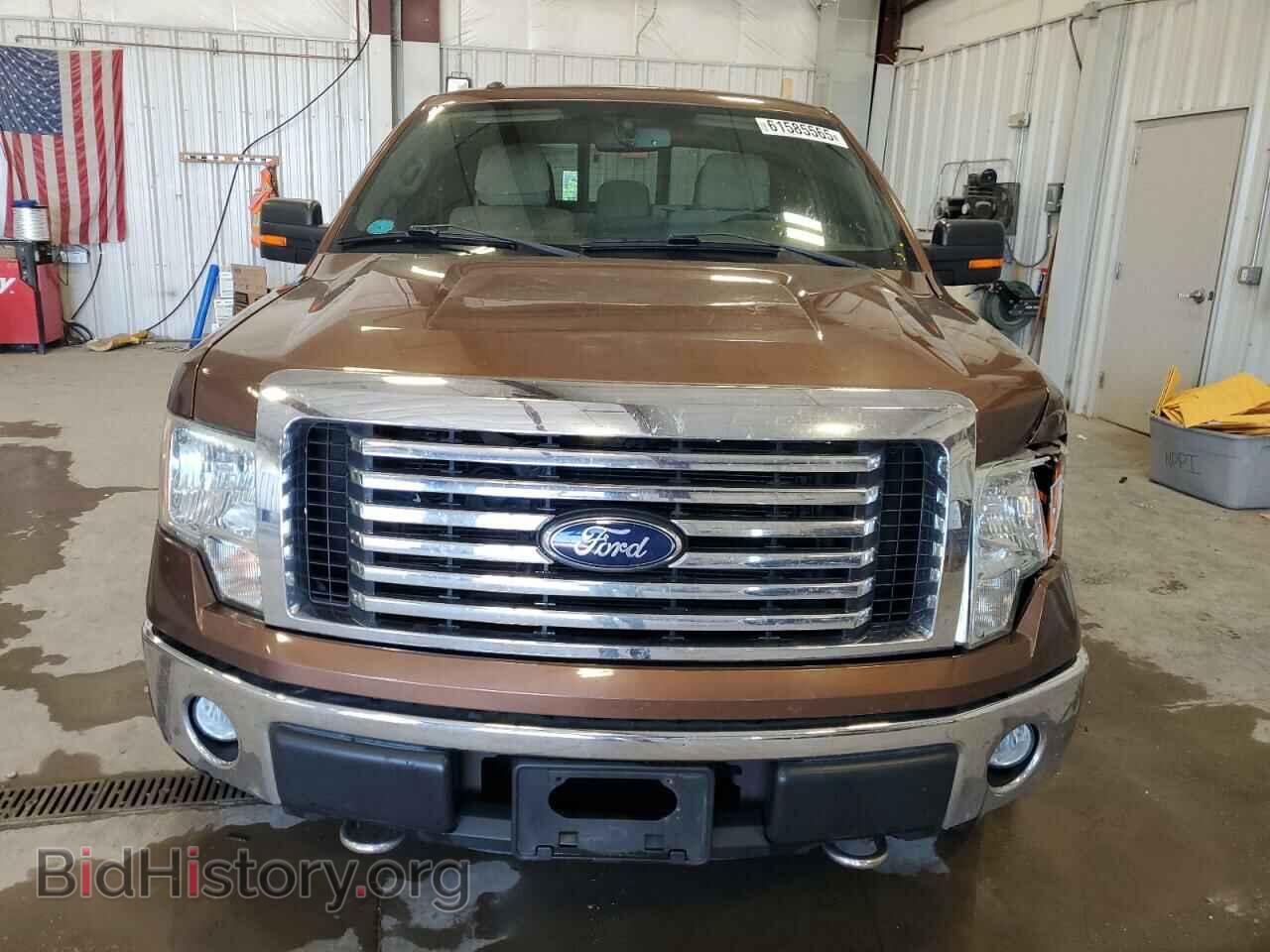 2011 FORD F-150 - VIN: 1FTFX1EF2BFC46430 - Фото 5