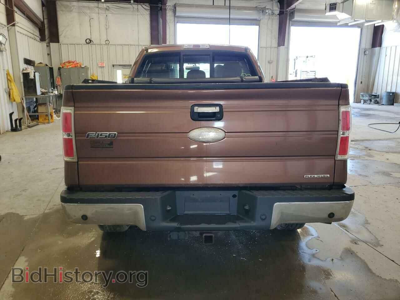 2011 FORD F-150 - VIN: 1FTFX1EF2BFC46430 - Фото 6