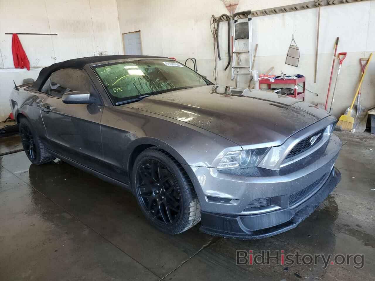 Photo 1ZVBP8EM3D5203064 - FORD MUSTANG 2013