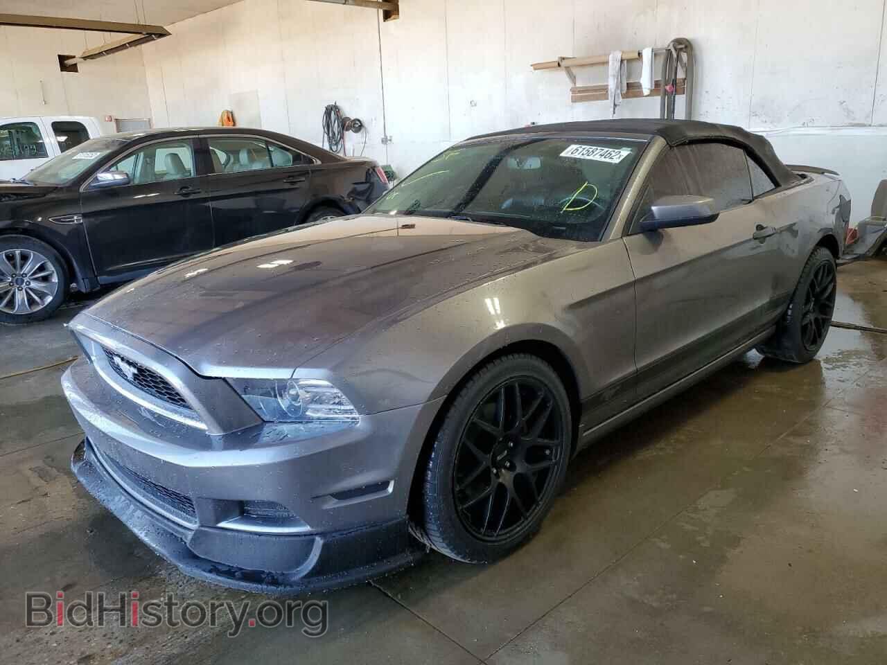 2013 FORD MUSTANG - VIN: 1ZVBP8EM3D5203064 - Фото 2