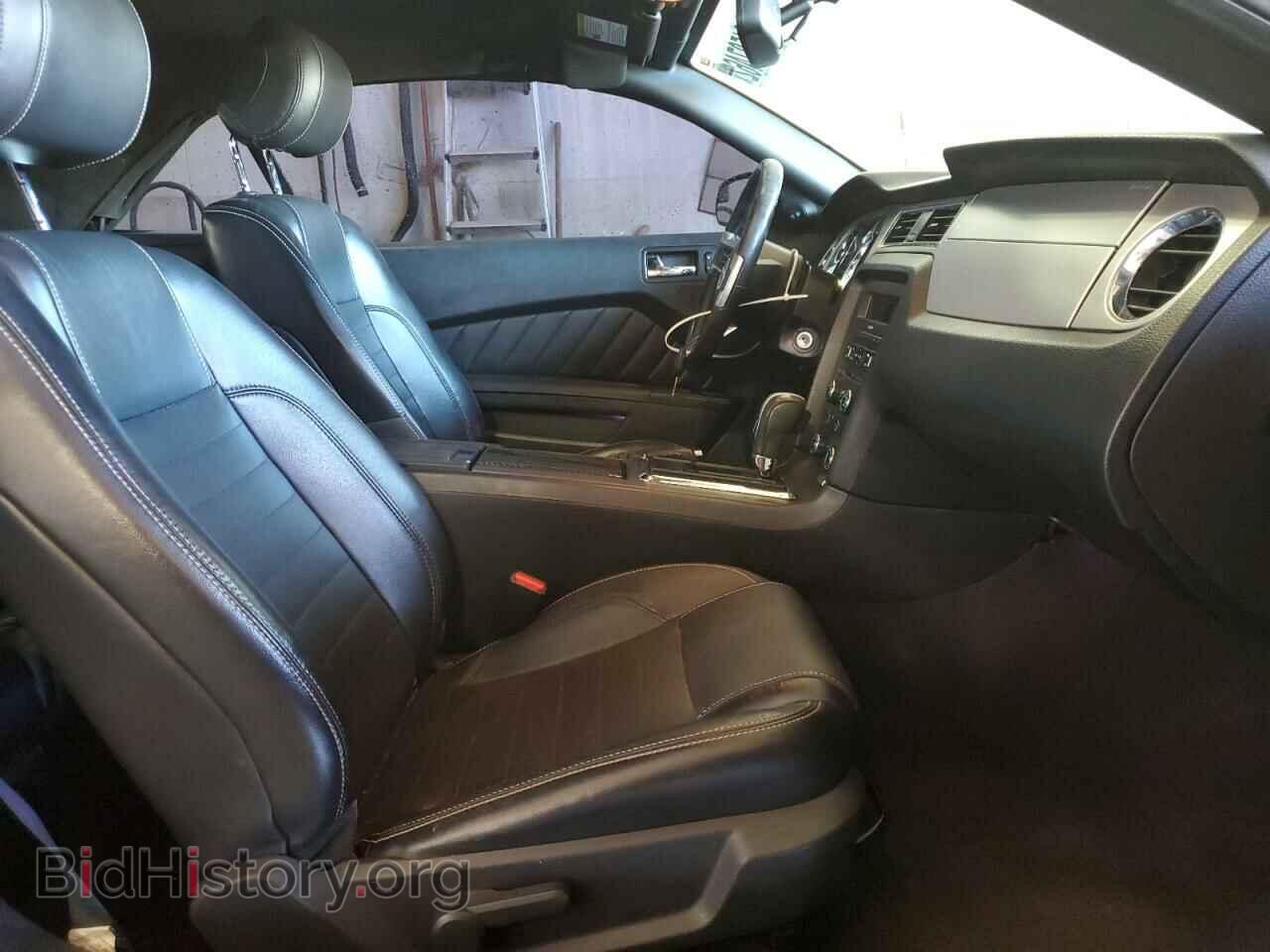 2013 FORD MUSTANG - VIN: 1ZVBP8EM3D5203064 - Фото 5
