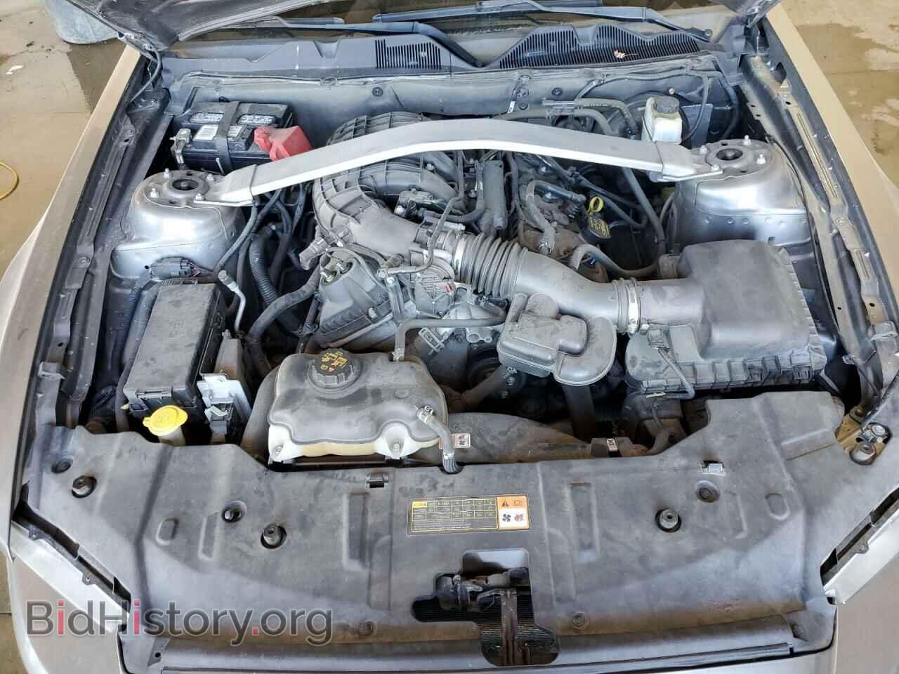 2013 FORD MUSTANG - VIN: 1ZVBP8EM3D5203064 - Фото 7