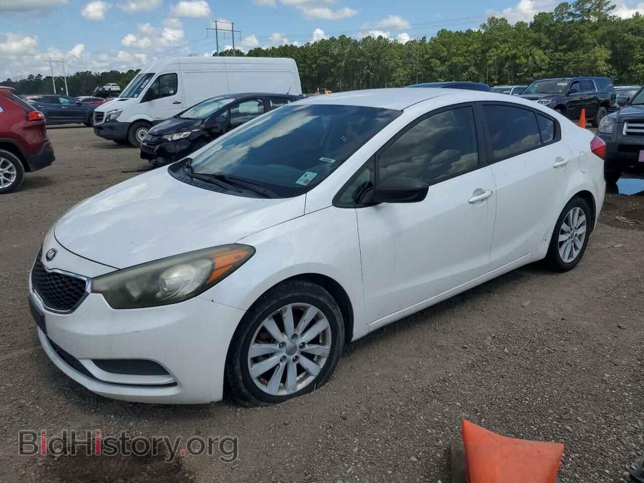 Фотография KNAFX4A61E5063664 - KIA FORTE 2014