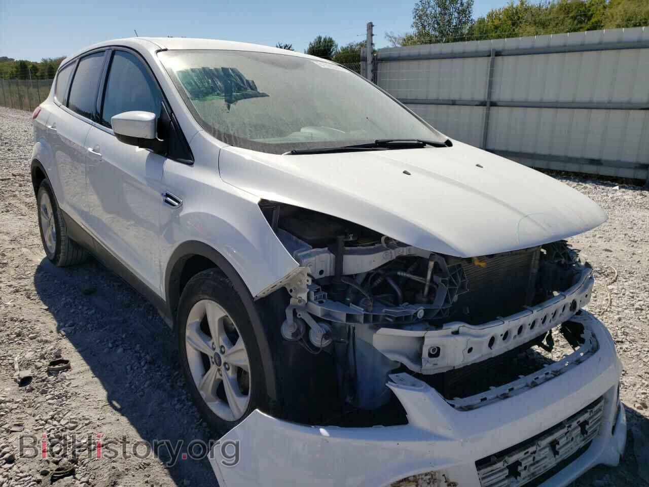 Фотография 1FMCU0GX2DUC04409 - FORD ESCAPE 2013