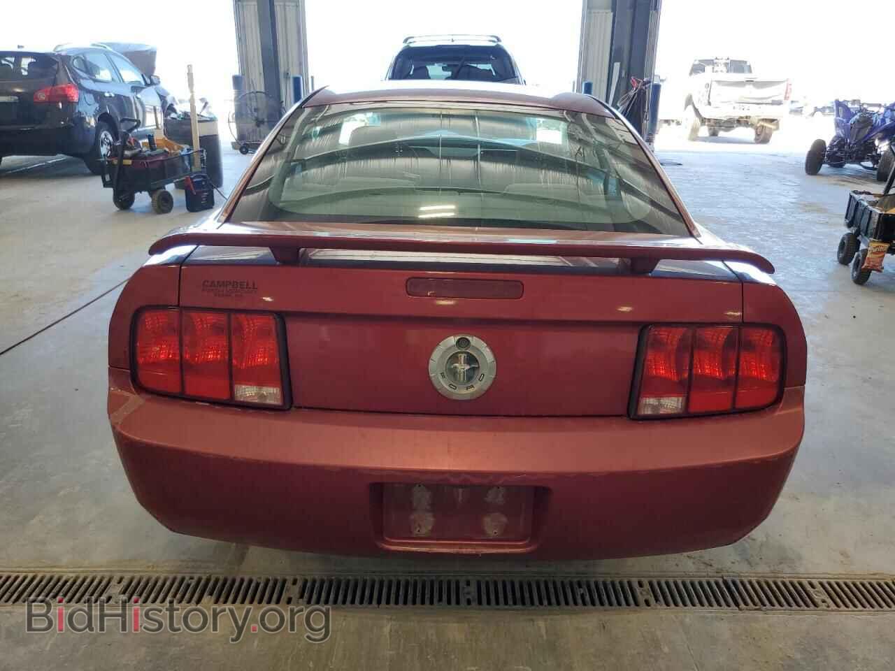 2006 FORD ALL Models - VIN: 1ZVFT80N765120186 - Фото 6