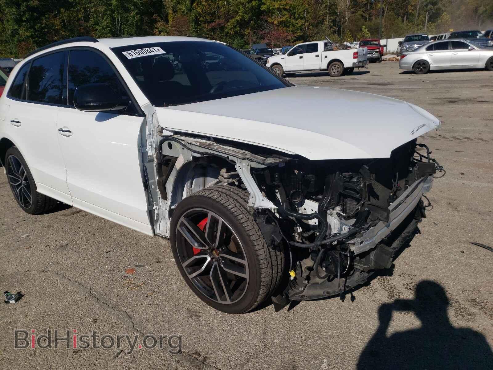 2017 AUDI SQ5 - VIN: WA1CCAFP3HA042290 - Photo 1