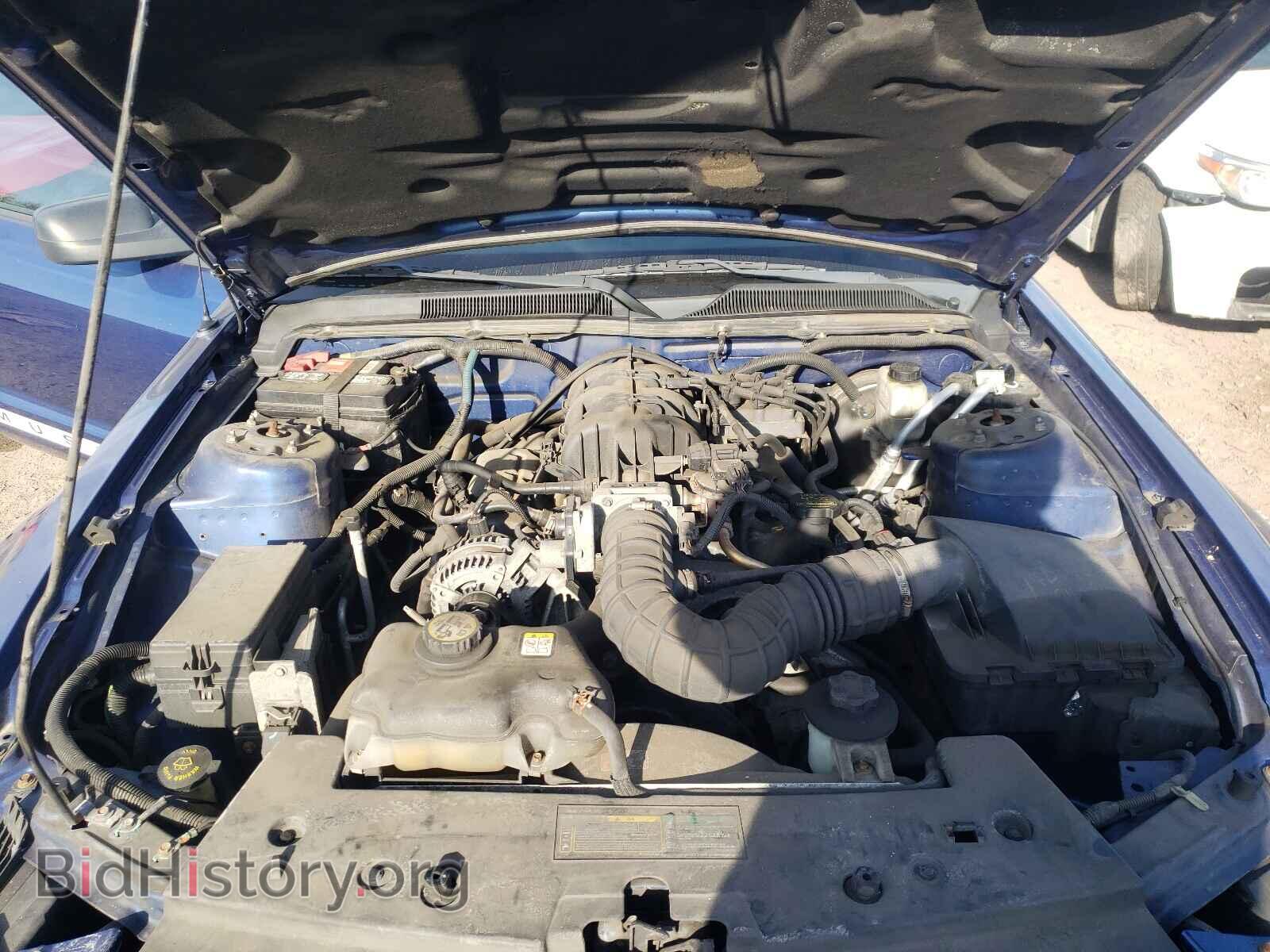 2009 FORD MUSTANG - VIN: 1ZVHT84N995129222 - Фото 7