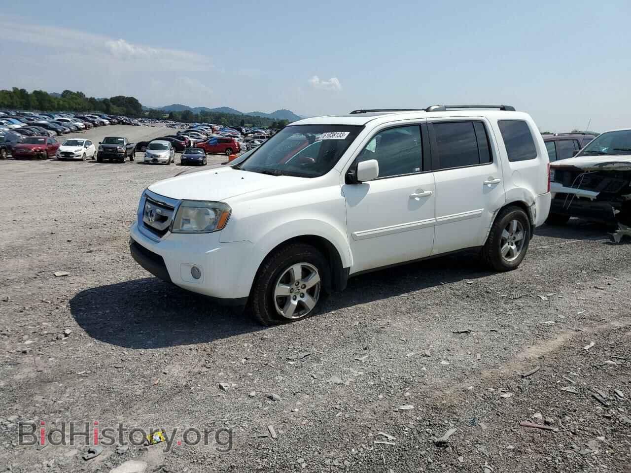 Photo 5FNYF4H55BB020368 - HONDA PILOT 2011