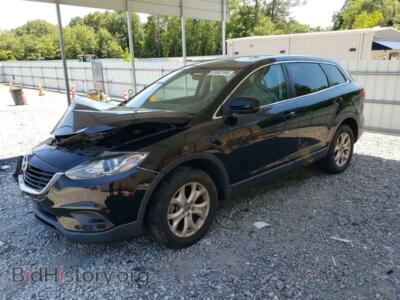 2013 Mazda CX-9 Sport, black — VIN JM3TB2BA5D0410587, Copart