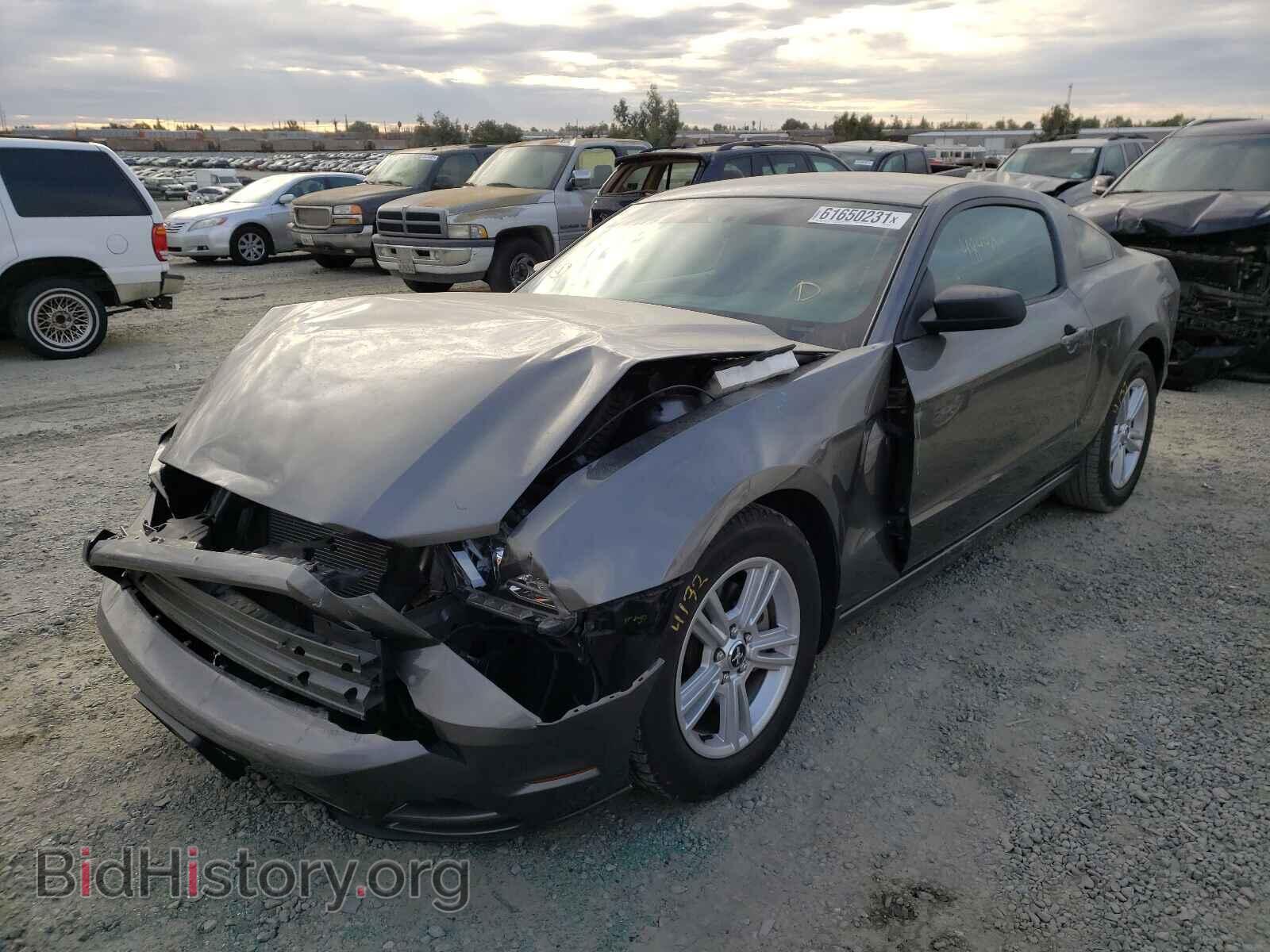 2013 FORD MUSTANG - VIN: 1ZVBP8AM3D5243540 - Фото 2