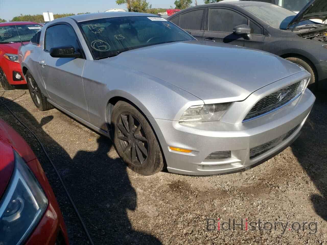 Photo 1ZVBP8AM9E5298396 - FORD MUSTANG 2014