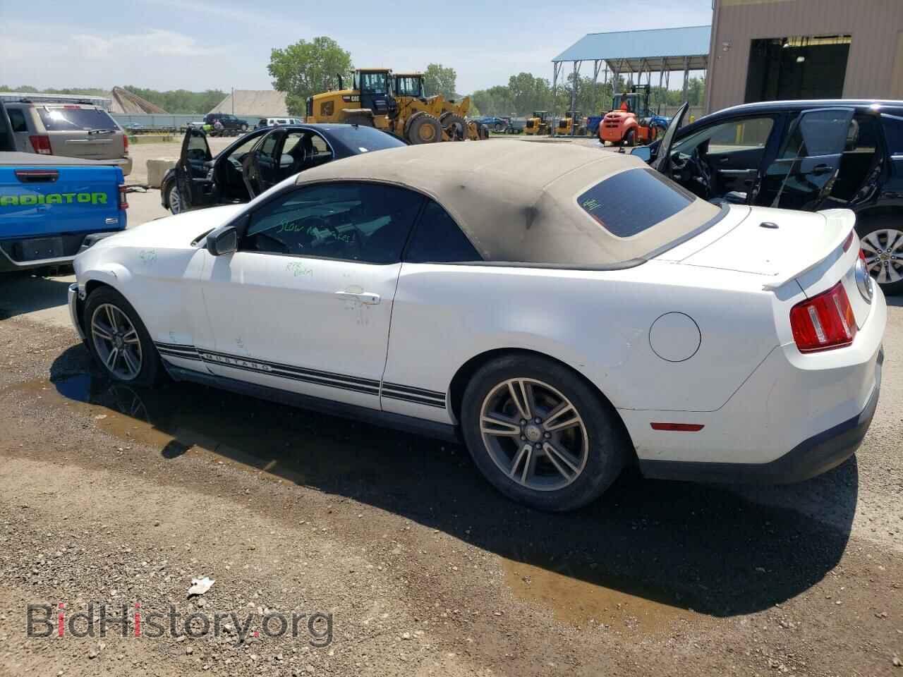 2010 FORD ALL Models - VIN: 1ZVBP8EN5A5169357 - Фото 2