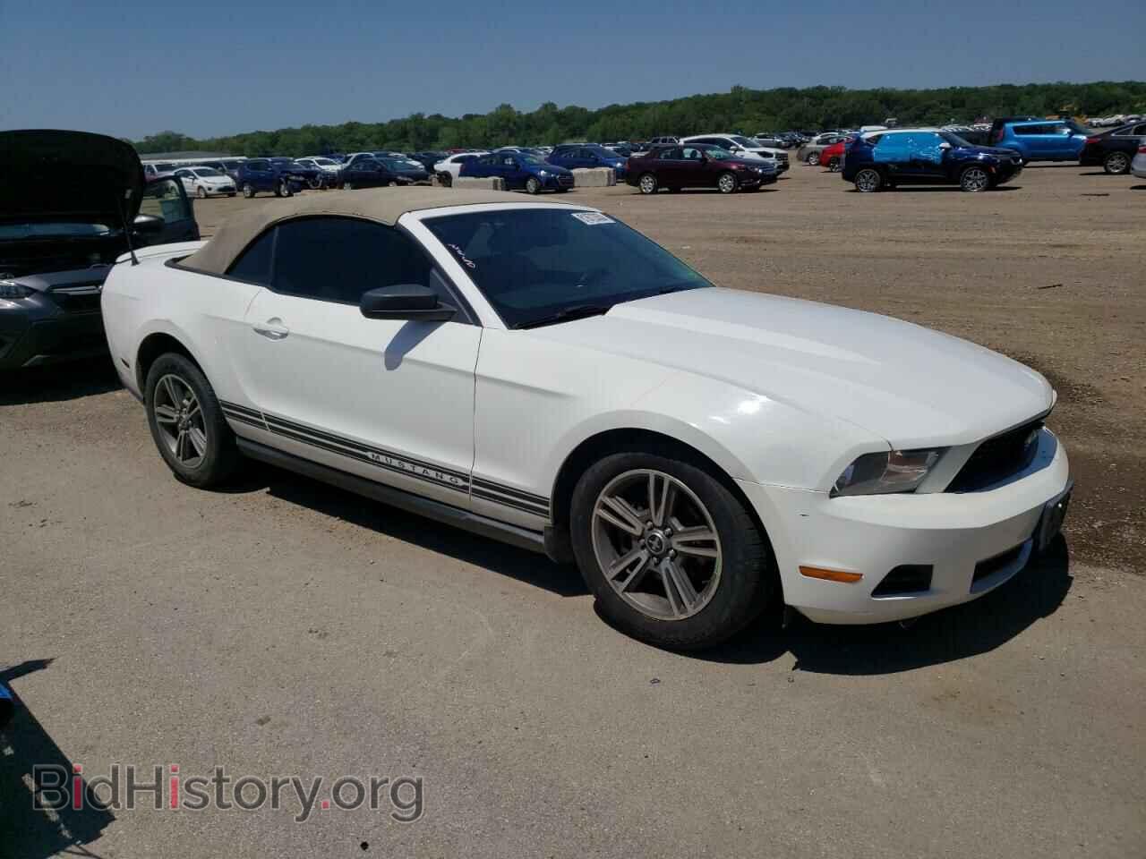 2010 FORD ALL Models - VIN: 1ZVBP8EN5A5169357 - Фото 4