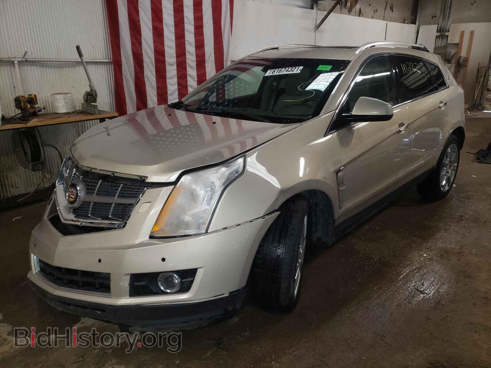 2012 CADILLAC SRX - VIN: 3GYFNFE37CS501010 - Фото 2
