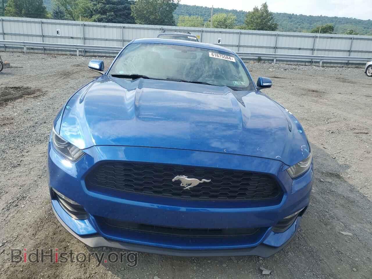 2017 FORD ALL Models - VIN: 1FA6P8AM9H5256258 - Photo 5
