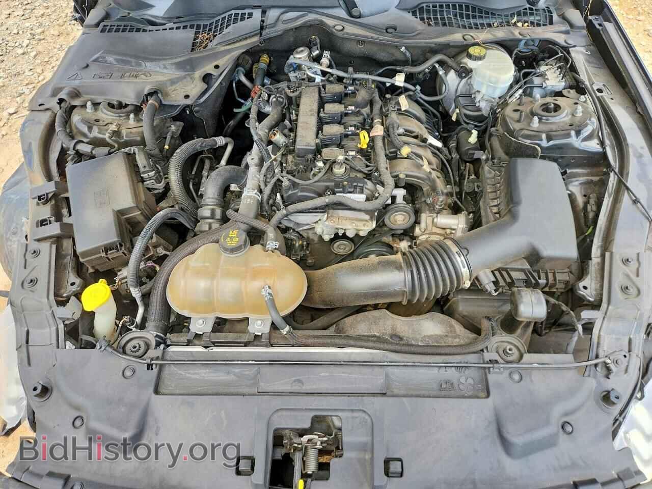 2019 FORD MUSTANG - VIN: 1FA6P8TH0K5116929 - Photo 11