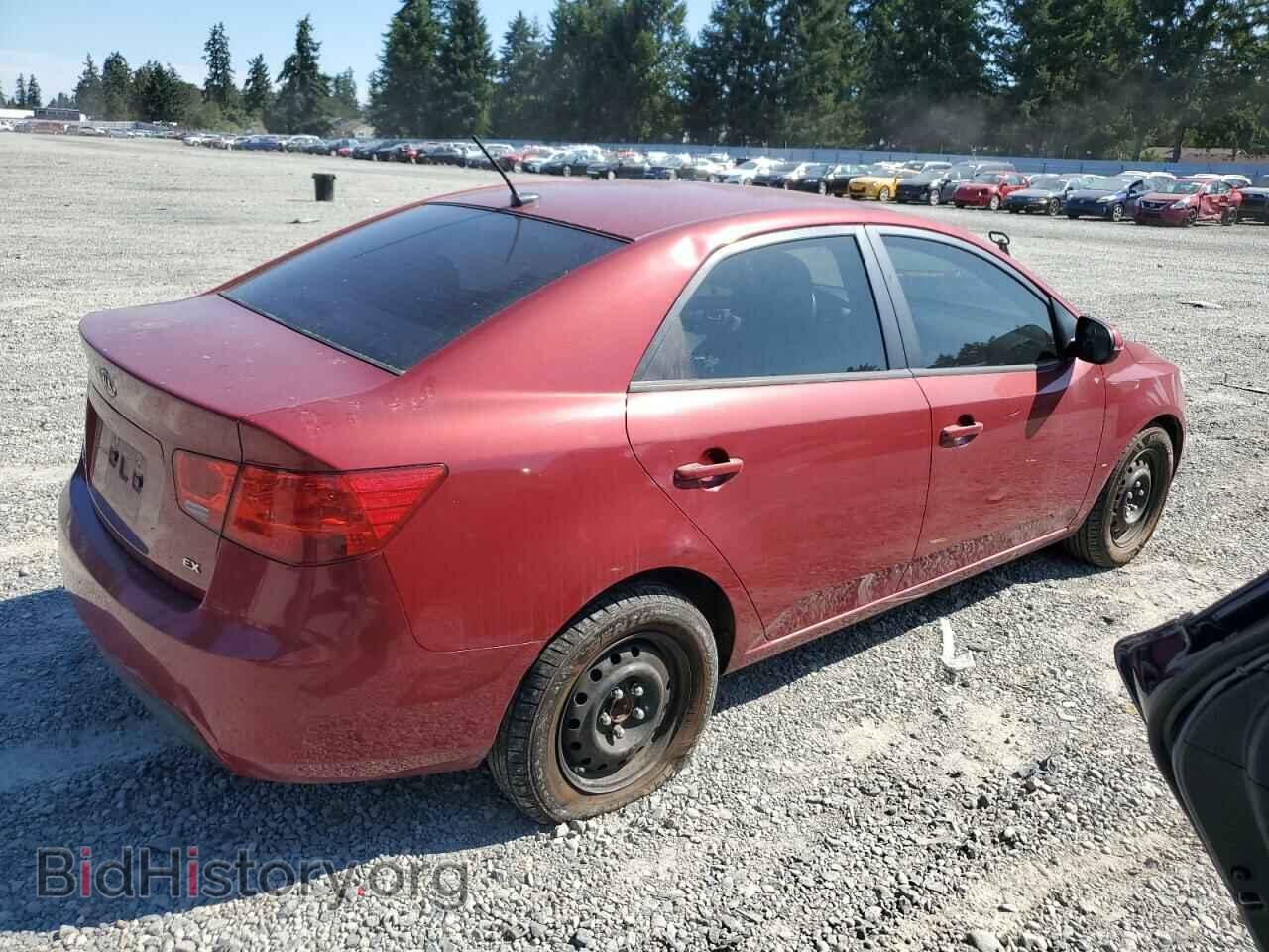 2011 KIA FORTE - VIN: KNAFU4A25B5378811 - Фото 3
